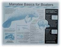 Manatee Basics for Boater picture