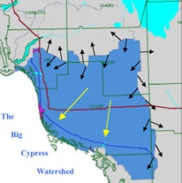 The Big Cypress Watershed