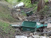 Debris in ditch