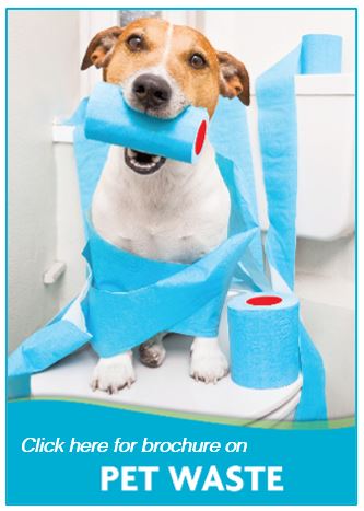 Pet waste rack card