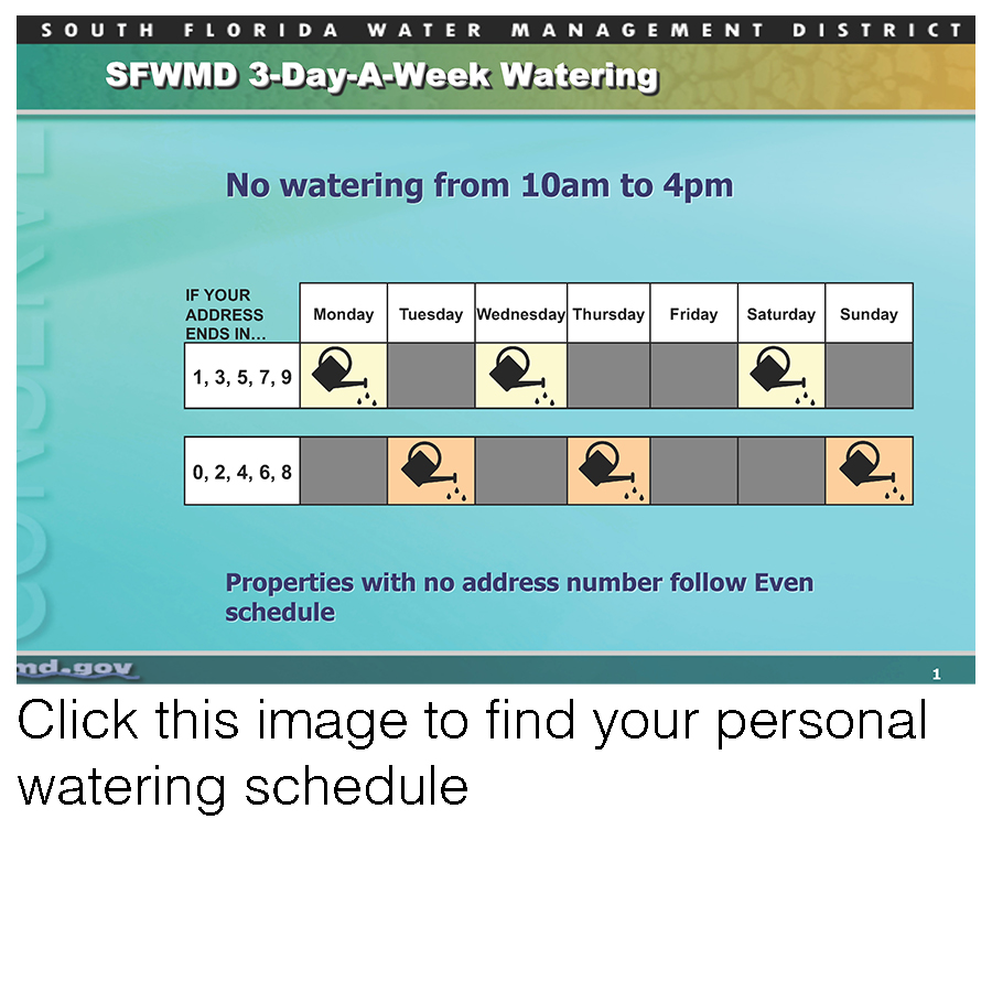 Collier County watering schedule