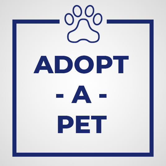 AdoptPet-Image