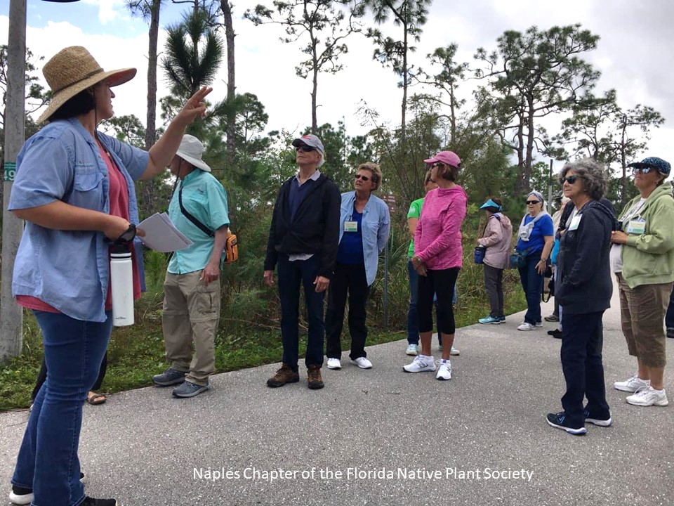 Gordon River Greenway_Native Plant Society