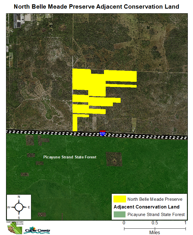 NBMP Website Map