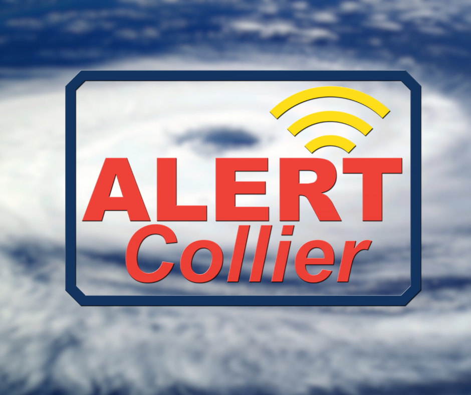 Alert Collier