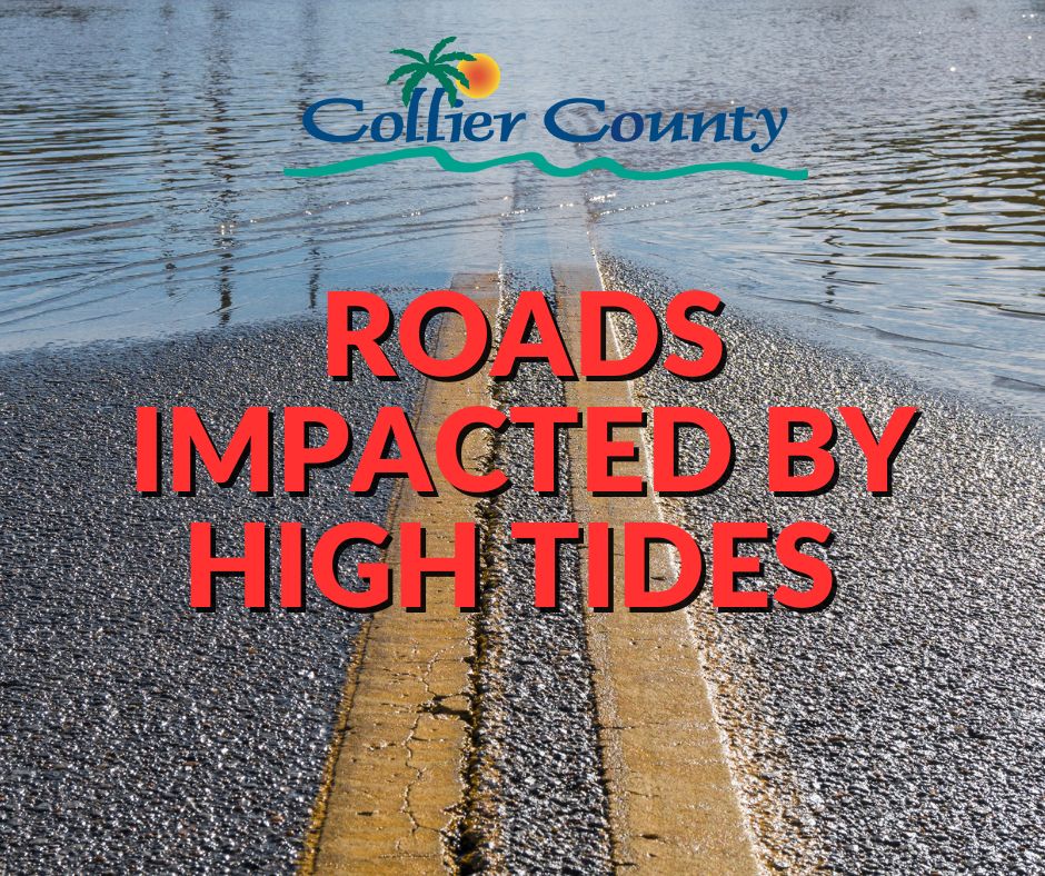 Roads High Tide