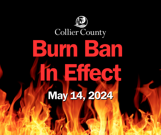 Burn Ban Effective Immediately