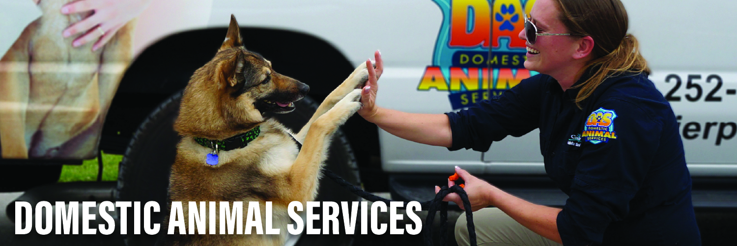 Officer touching dogs paw