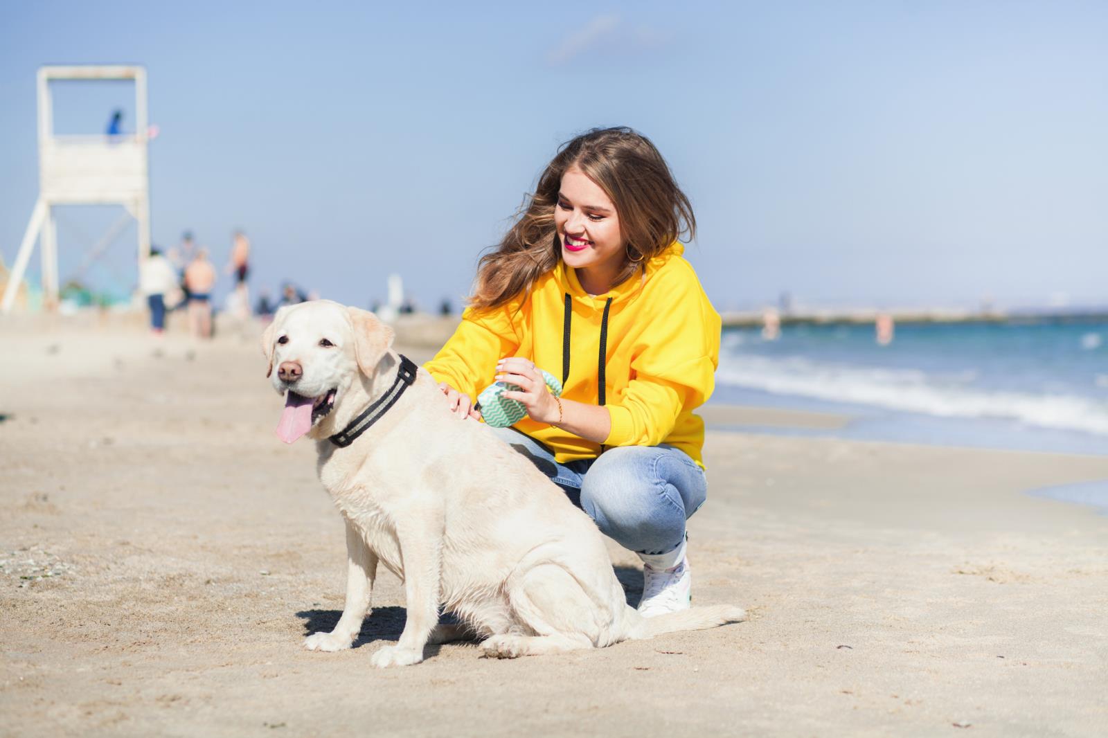 Volunteering petting A dog