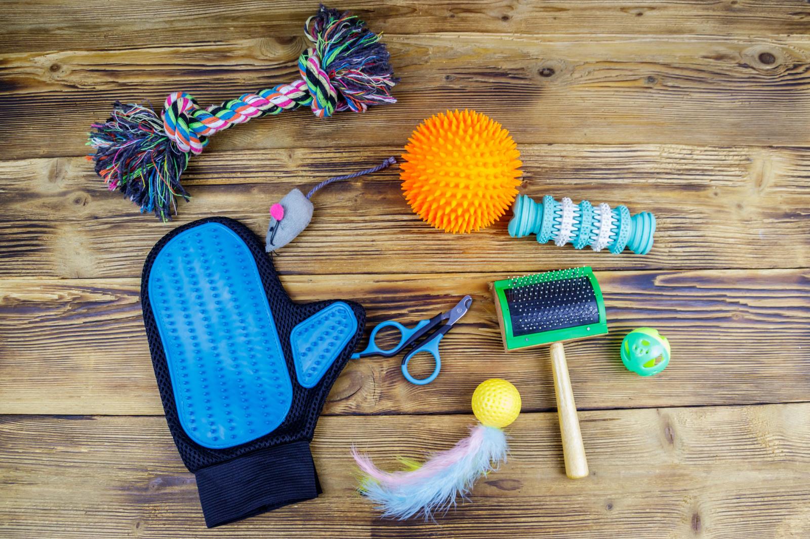 Dog toys on a wooden background