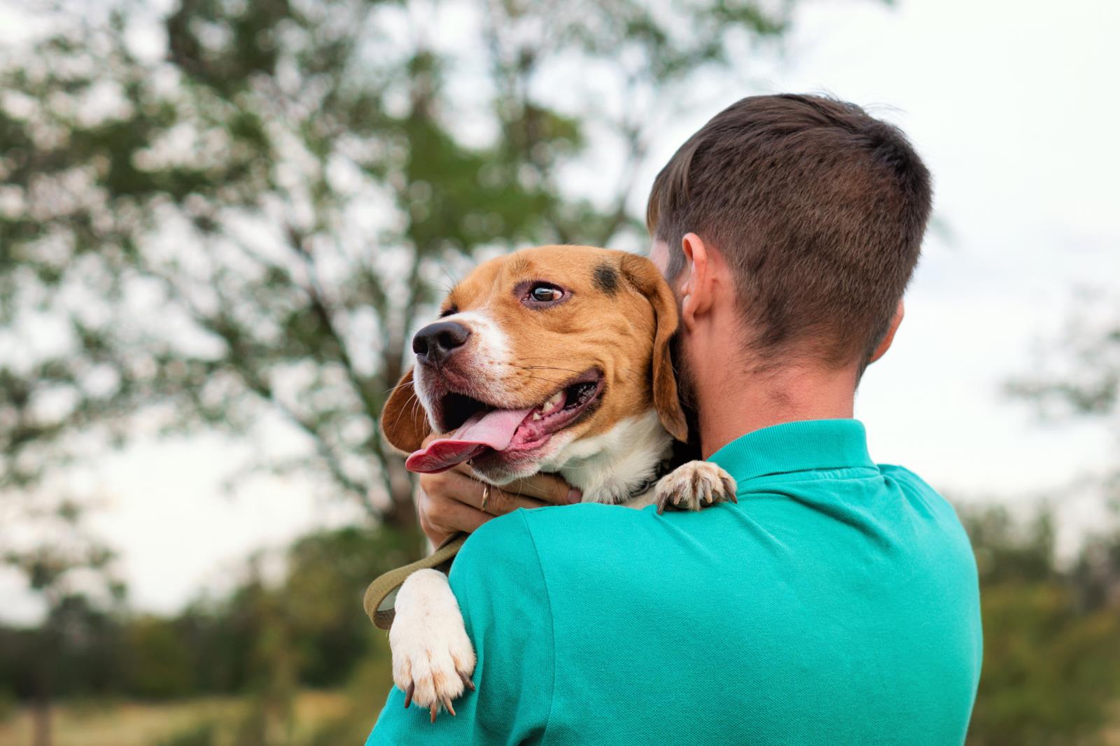 Dog being carried by his owner