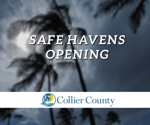 Safe Havens Opening