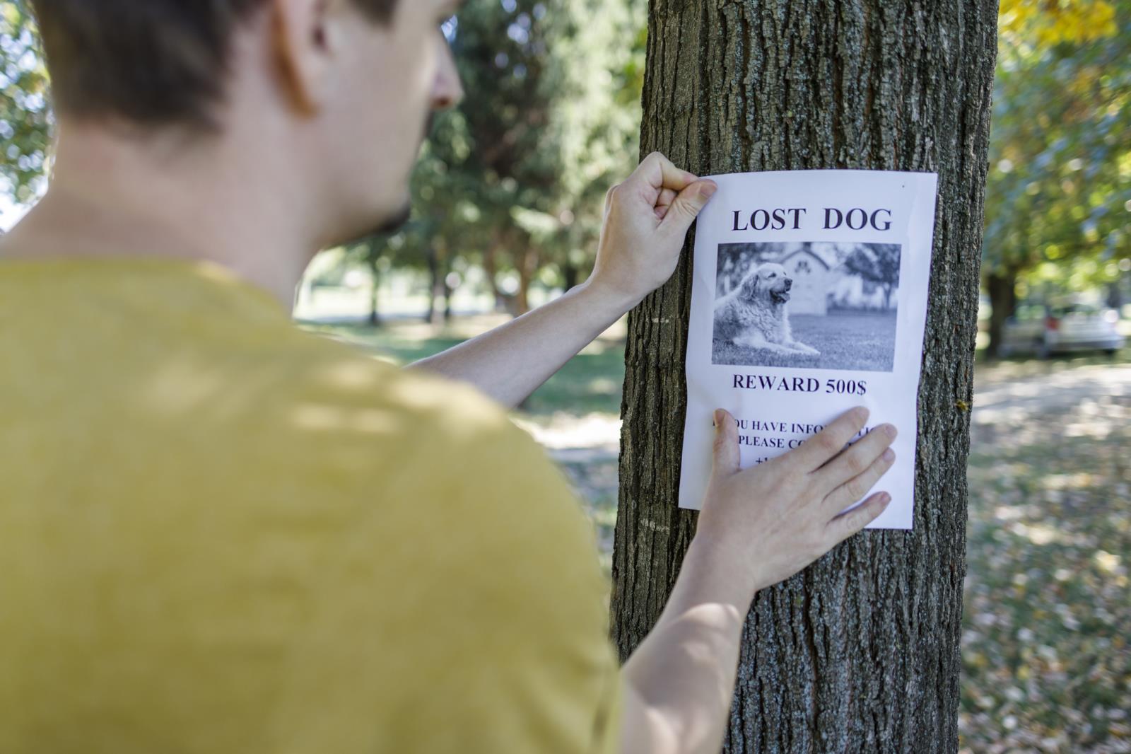 Image of a person putting up a sign on a tree.