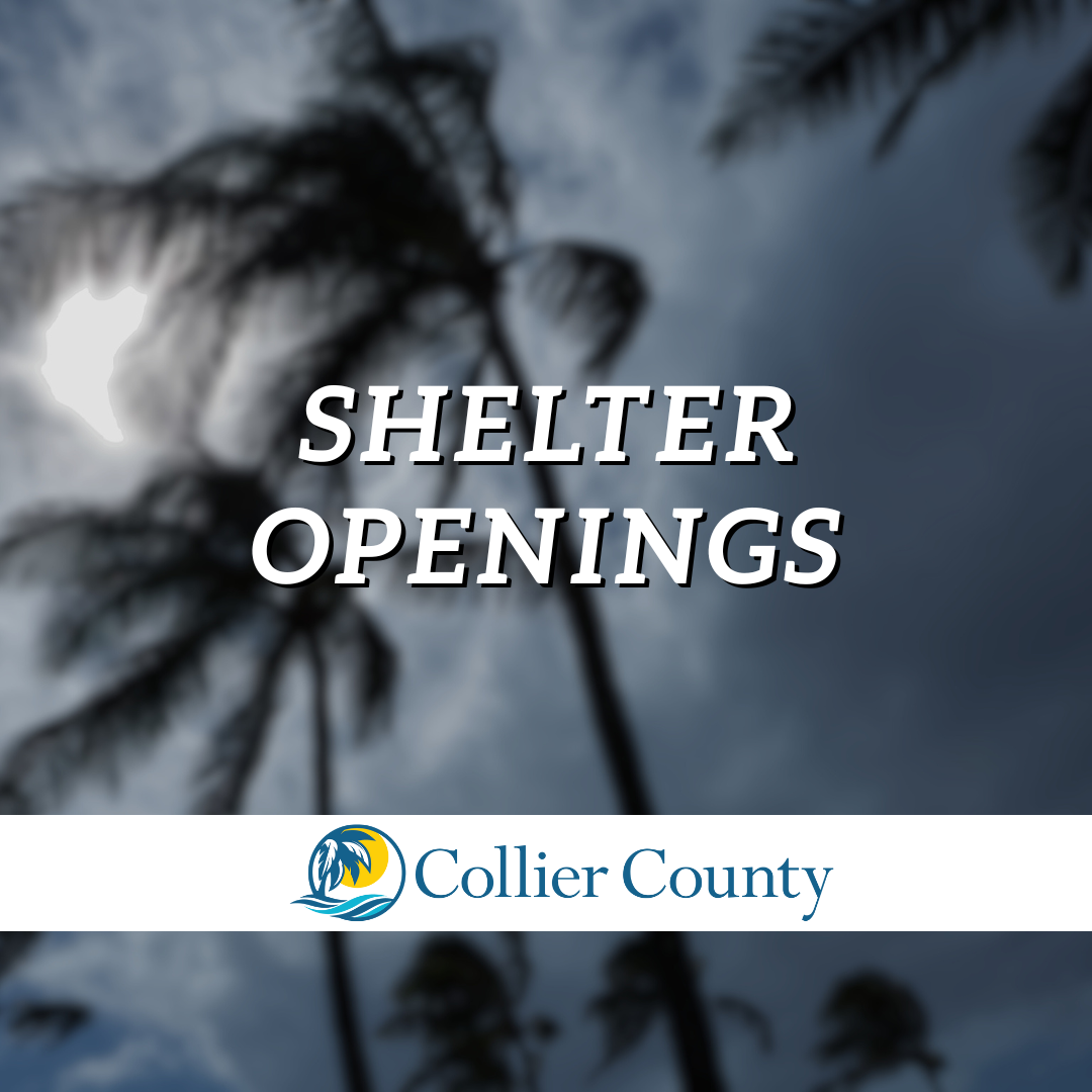 Shelter Openings