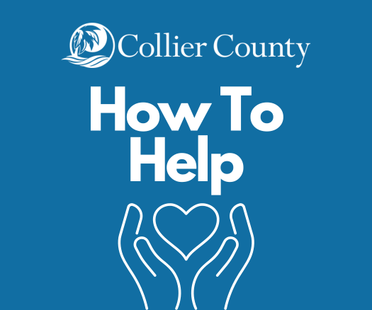 How To Help