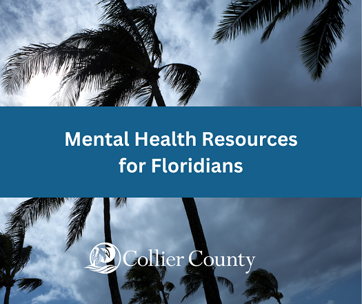 Mental Health Resources