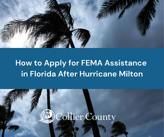 How to Apply to FEMA