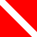 picture of diving flag, red background with white 45 degree sash