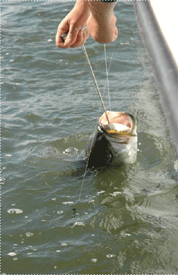 photo of a device that dehooks the fish without harming it, as required by law when fishing near or at reefs.