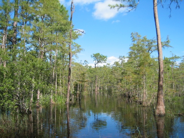 Seasonal trail under water