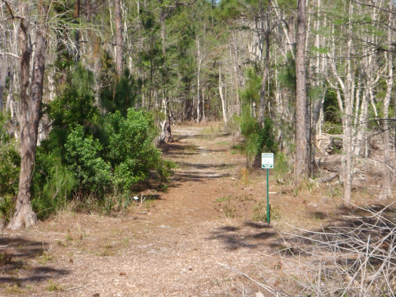 Marked trail view