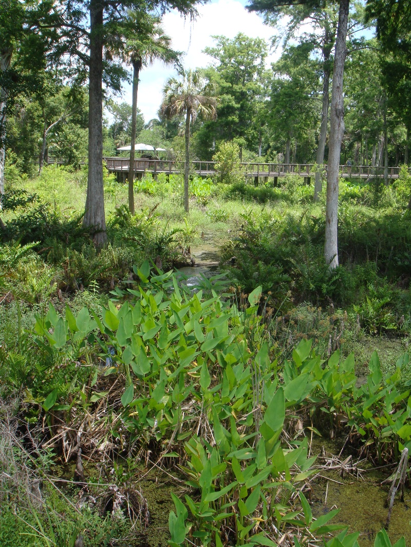 Freedom Park landscape